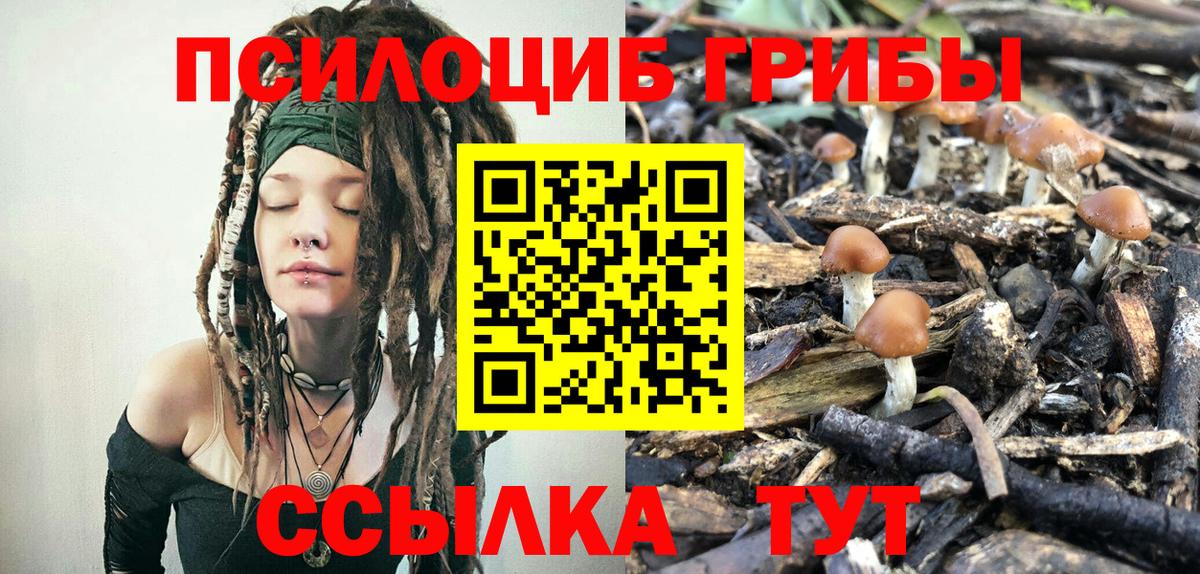 Псилоцибиновые грибы ЛСД  Вход с VPN  Галлюциногенные грибы Cubensis  Отрадный 