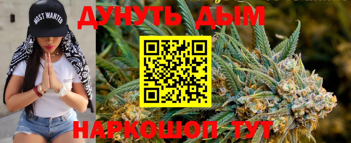 Конопля семена  Марихуана конопля  Отрадный  Вход с VPN  Канабис MAZAR 